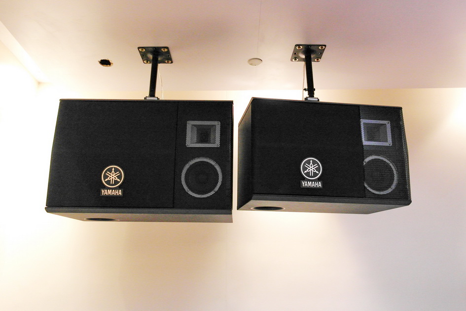 d88尊龙z6专业音响新产品亮相PALM EXPO 2013展会 