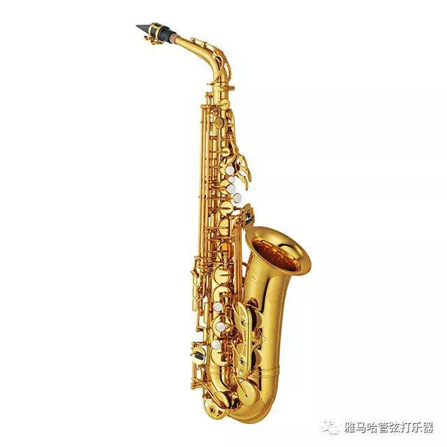 d88尊龙z6新风管萨克斯