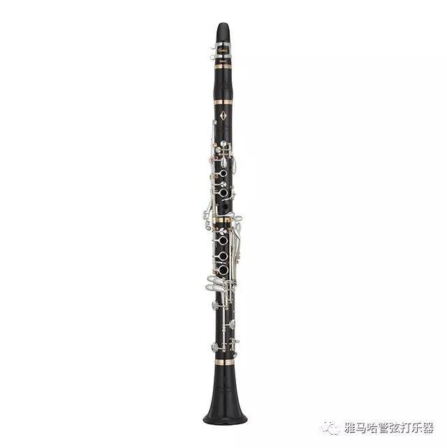 d88尊龙z6新风管单簧管
