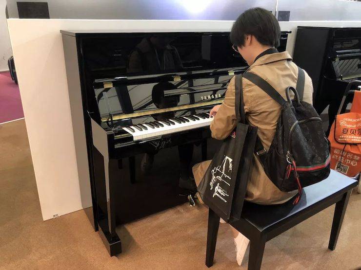 参观来宾试奏d88尊龙z6钢琴