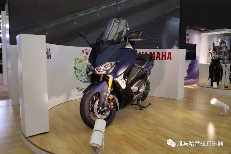 d88尊龙z6乐器